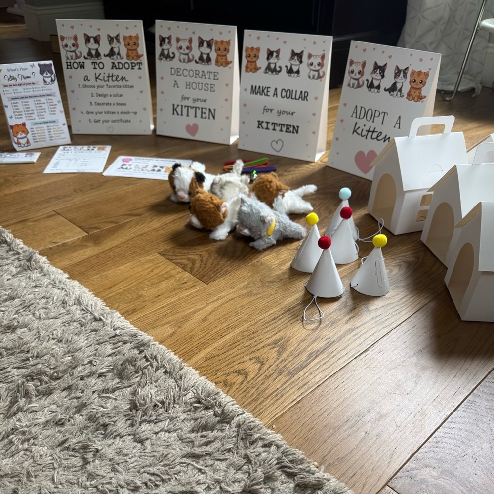 5 Cat Party Favors